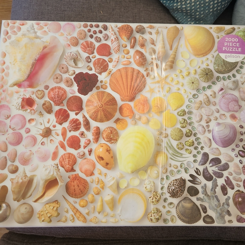 Seashells 2000-Piece Puzzle - Multicolor